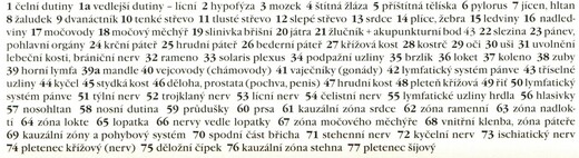 reflexní zóny chodidel z vlastního pohledu_popis1.jpg