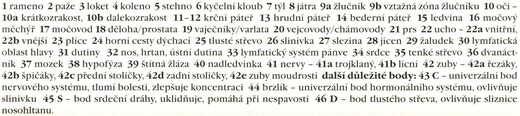 reflexní zóny rukou z vlastního pohledu_popis.jpg